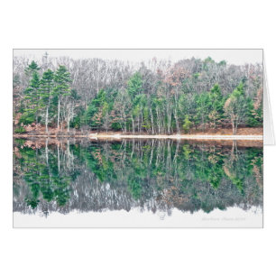 Walden Pond : Percevoir la beauté avec un min sere