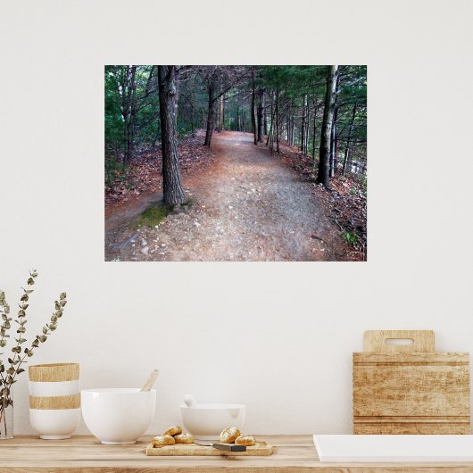 Walden Pond Trail Print (Keuken)