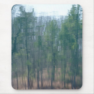 Walden Reflection 1 Muismat