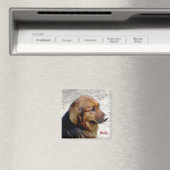 Waldo Magnet (In Situ (Lave-vaisselle))