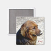 Waldo Magnet Magneet (Voorkant / Achterkant)