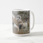 Waledale ooien in katoengras in Northhumberland Koffiemok (Voorkant rechts)