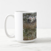 Waledale ooien in katoengras in Northhumberland Koffiemok (Links)