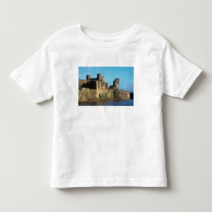 Wales - Caerphilly castle, met een uitzicht van he Kinder Shirts