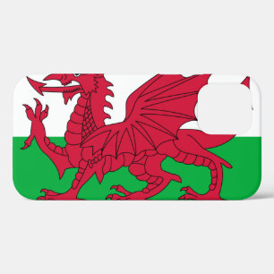 Wales iPhone 12 Hoesje