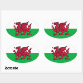Wales Dragon Ovale Sticker (Vel)