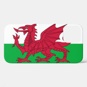 Wales Flag iPhone 12 Hoesje