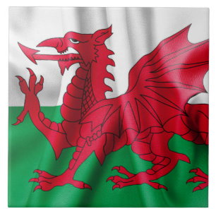 Wales Flag Tegeltje