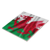 Wales Flag Tegeltje (Zijkant)