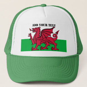 Wales Flag World Cup 2022 Soccer cymru red dragon Trucker Pet