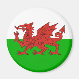 wales land dragon lt brits magneet