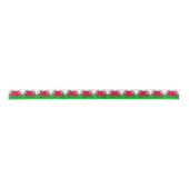 Wales Lint (Voorkant)