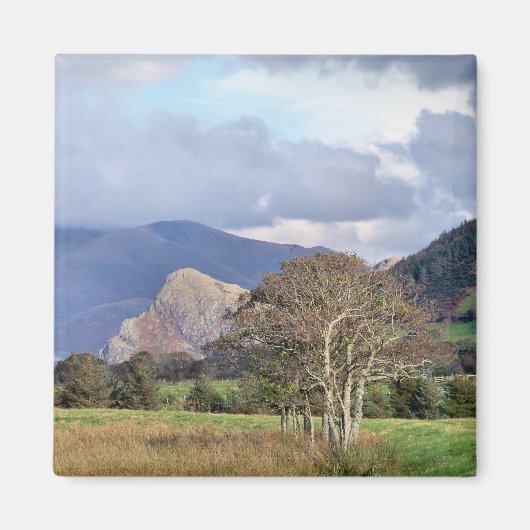 WALES MAGNEET (Voorkant)