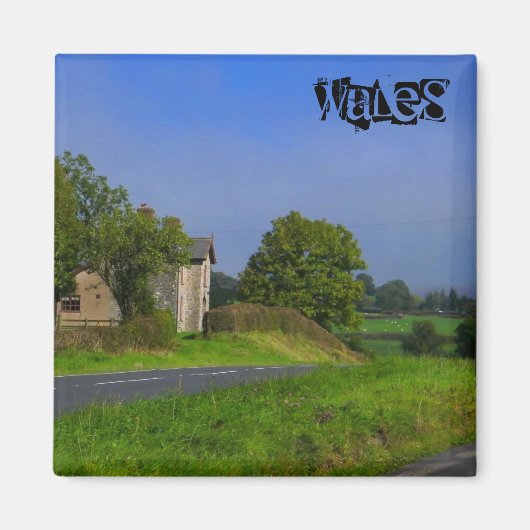 Wales Magnet Magneet (Voorkant)
