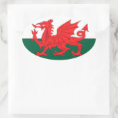 Wales Ovale Sticker (Tas)