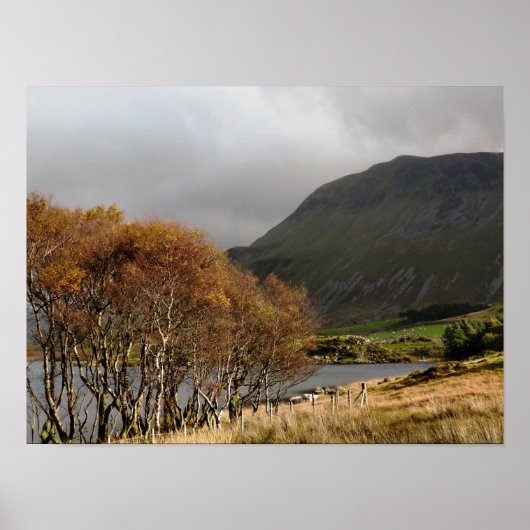 WALES POSTER (Voorkant)