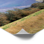 WALES POSTER (Hoek)
