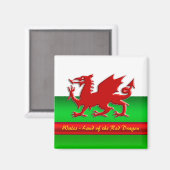 Wales - Thuis van de rode draak, metallisch effect Magneet (Voorkant / Achterkant)
