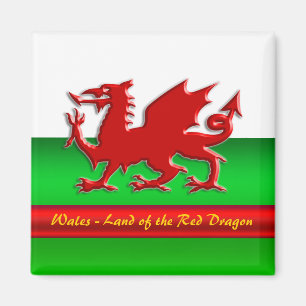 Wales - Thuis van de rode draak, metallisch effect Magneet