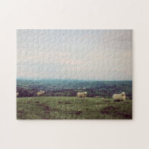 Wales  Uitzicht Landscape Sheep Welsh Horizon