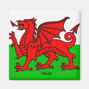 WALES VLAG /DRACON MAGNEET