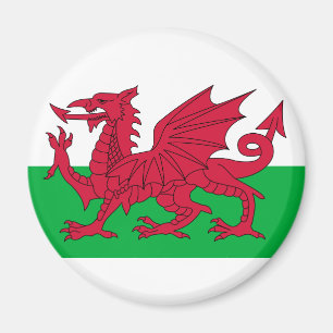 wales vlag magneet