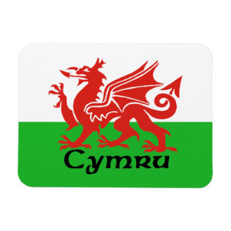 Wales Vlag Magneet