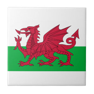 wales vlag tegeltje