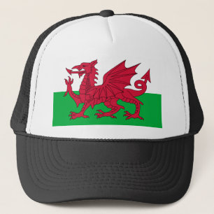 wales vlag trucker pet