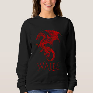 Wales vlag Welsh dragon trots rode Wales rugbyvoet Trui