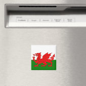 Wales vlag Welsh red dragon Magneet (Insitu (Vaatwasser))