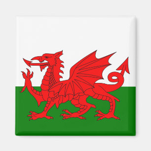 Wales vlag Welsh red dragon Magneet