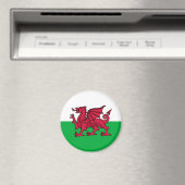Wales - Welsh Flag Magneet (Insitu (Vaatwasser))