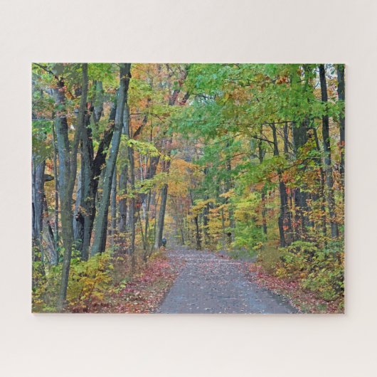 Walk in Autumn Woods Design Puzzle (Horizontal)