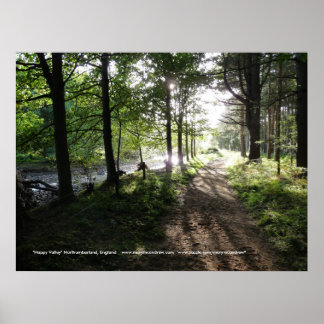 Walk nabij de River-Happy Valley, Northumberland Poster