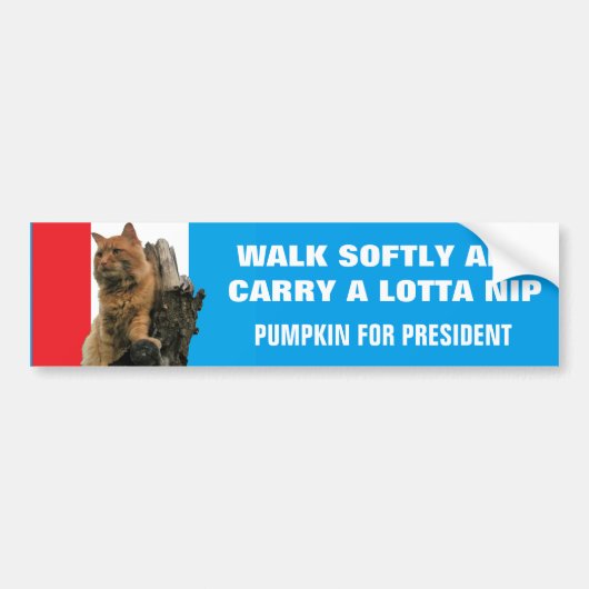 Walk Softly and Carry Nip Pumpkin for President Bumpersticker (Voorkant)