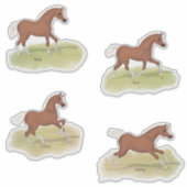 Walk Trot Canter Gallop Sorrel Foal Horse Gaits Sticker (Voorkant)