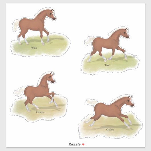 Walk Trot Canter Gallop Sorrel Foal Horse Gaits Sticker (Vel)