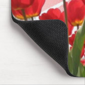 WALK UPBEAT MET PARKINSONS MUISMAT (Hoek)