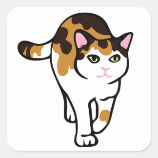 Walkat Vierkante Sticker