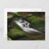 Walker Creek Briefkaart (Voorkant / Achterkant)