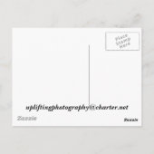 Walker Creek Briefkaart (Achterkant)