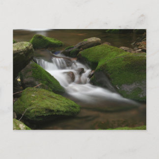 Walker Creek Briefkaart