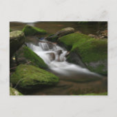 Walker Creek Briefkaart (Voorkant)