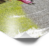 WALKING Fotouitbreiding Foto Afdruk (Hoek)