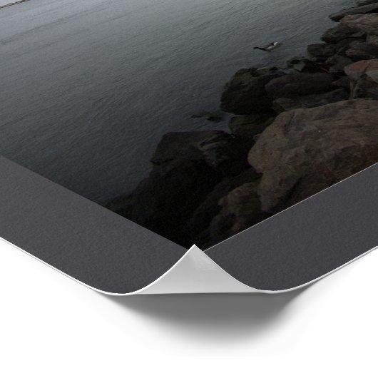 Walking Path by Ocean Poster (Coin)