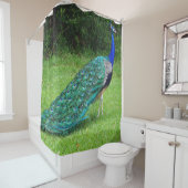 Walking Peacock Douchegordijn (In situ)