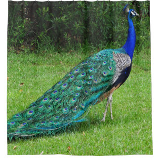 Walking Peacock Douchegordijn