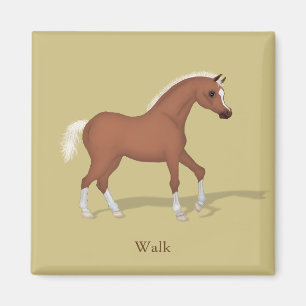 Walking Sorrel Foal Gaits of the Horse Magneet