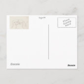 Walking Stick Insect Briefkaart (Achterkant)